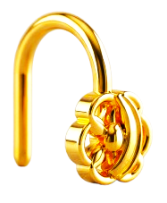 Nose Pin